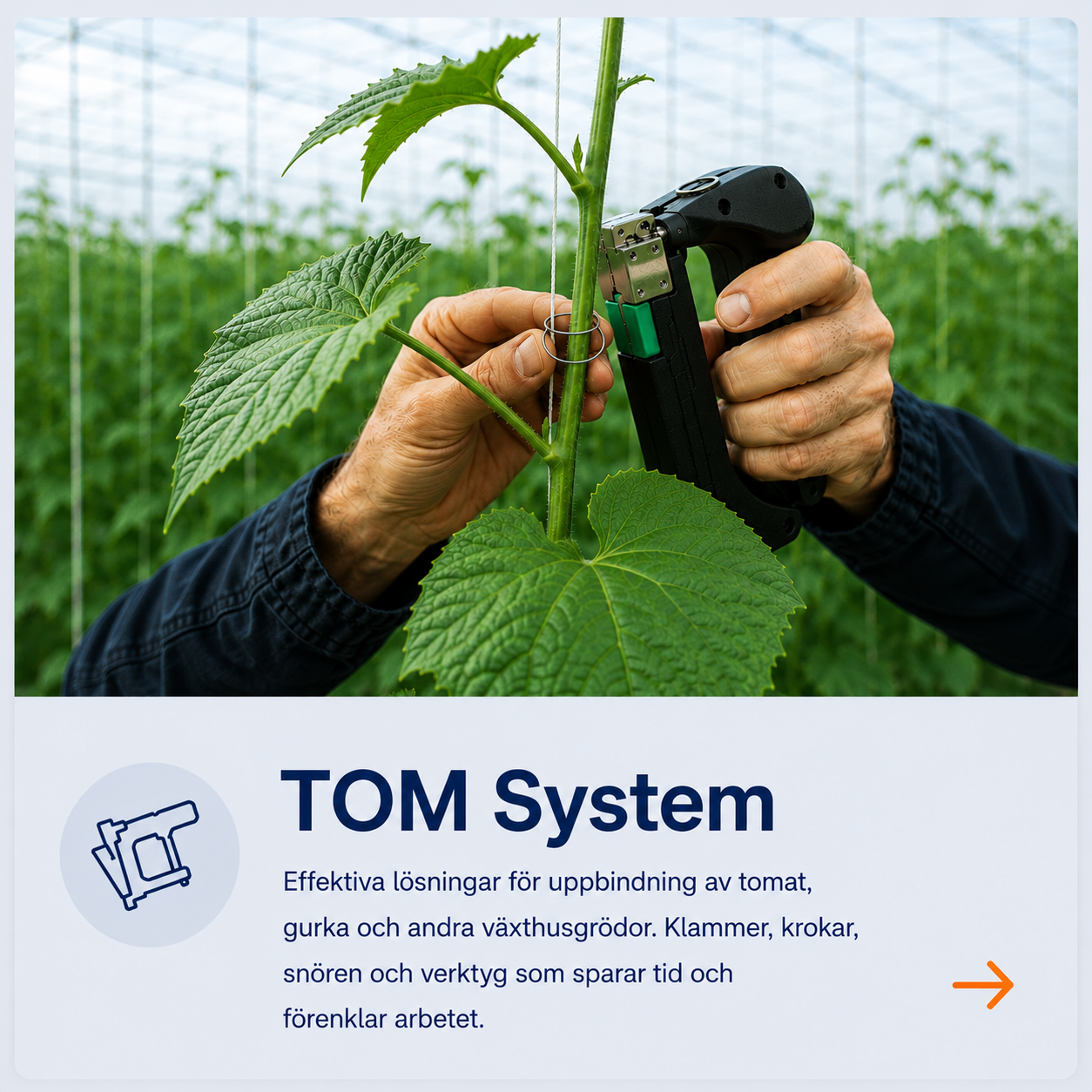 TOM System